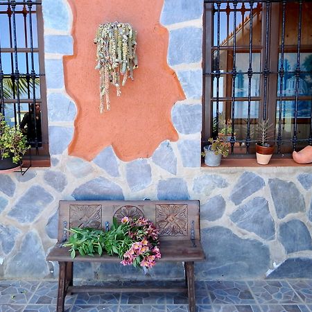 Finquita La Villa Icod De Los Vinos Dış mekan fotoğraf